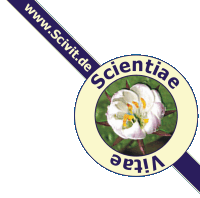 www.Scivit.de